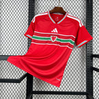 Maillot Domicile Pays De Galles 2026